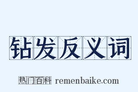 钻发反义词是什么意思的图片
